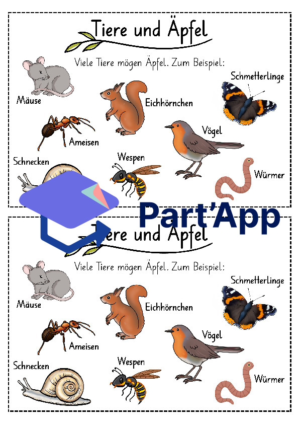 Lapbook Apfel für den Kindergarten_8