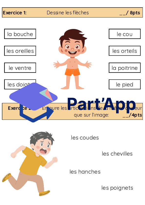3H-4H: TS CE "le corps humain"_4
