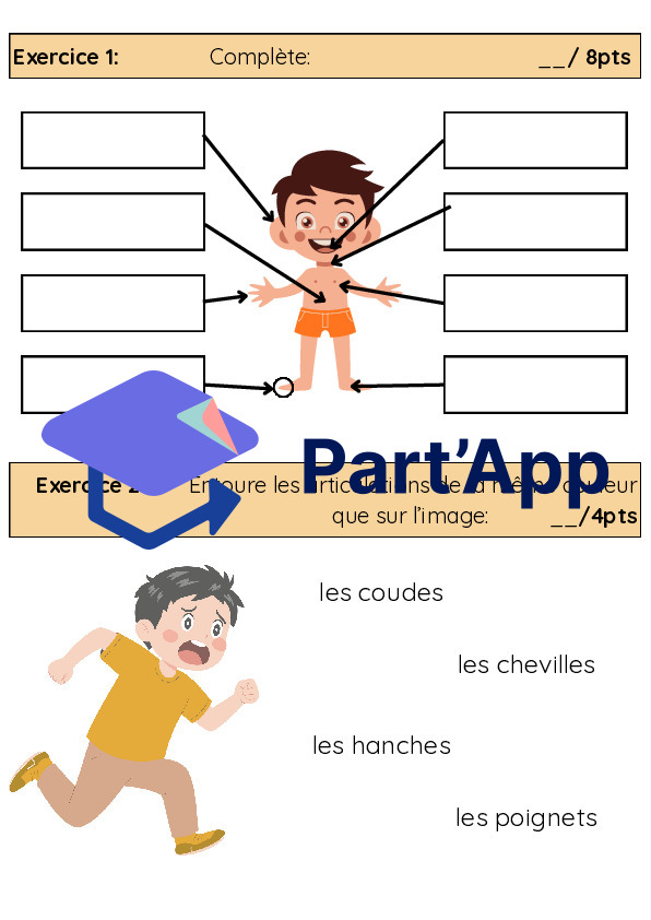 3H-4H: TS CE "le corps humain"_5