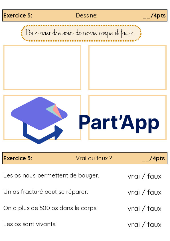 3H-4H: TS CE "le corps humain"_7