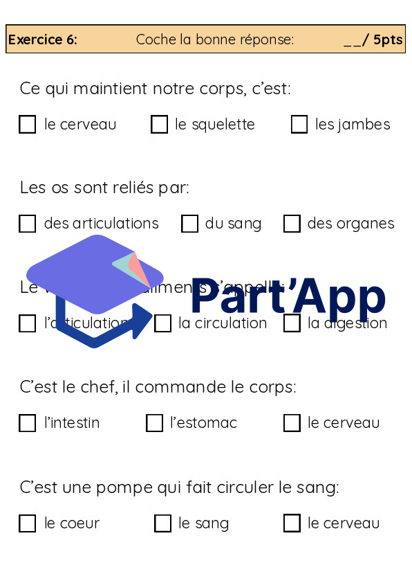 3H-4H: TS CE "le corps humain"_8