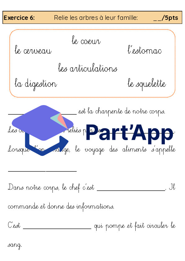 3H-4H: TS CE "le corps humain"_9