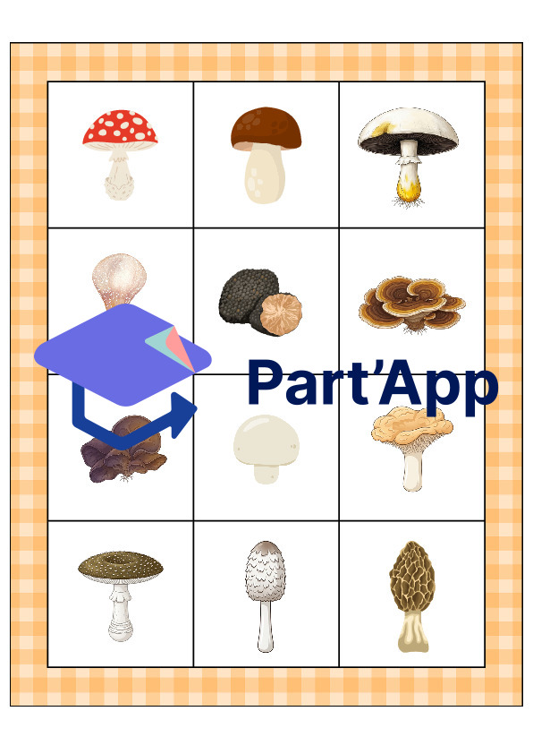 Le bingo des champignons_25