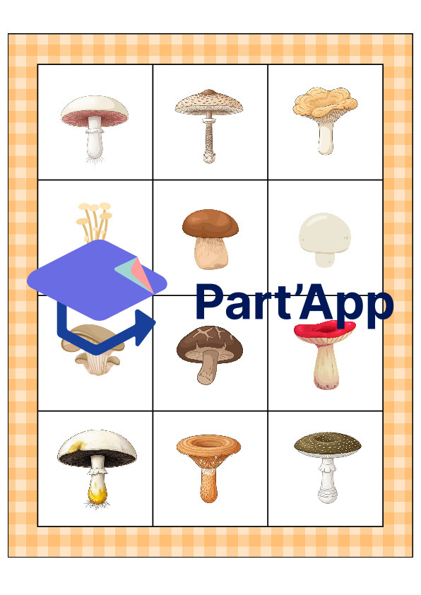 Le bingo des champignons_26