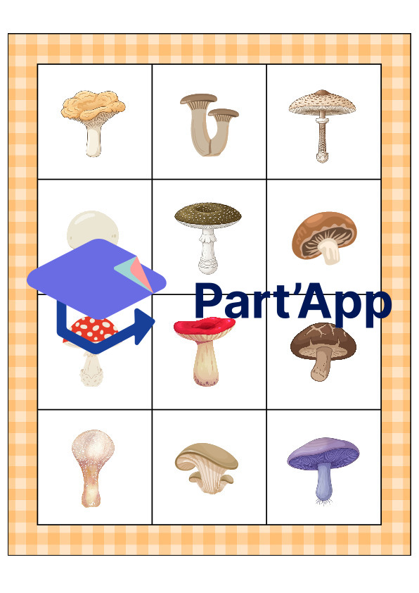 Le bingo des champignons_27