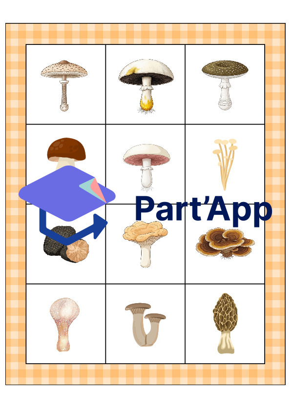 Le bingo des champignons_28