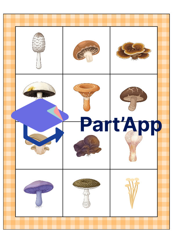 Le bingo des champignons_29