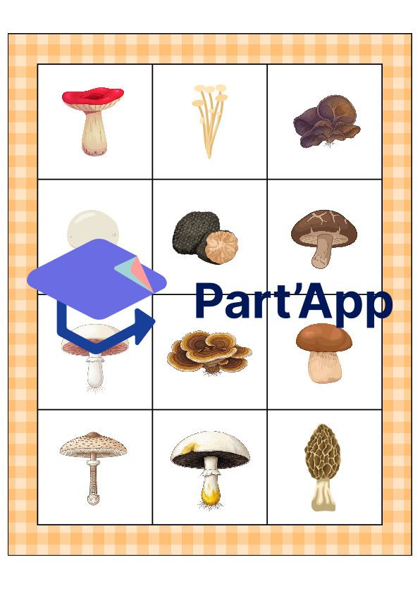 Le bingo des champignons_30