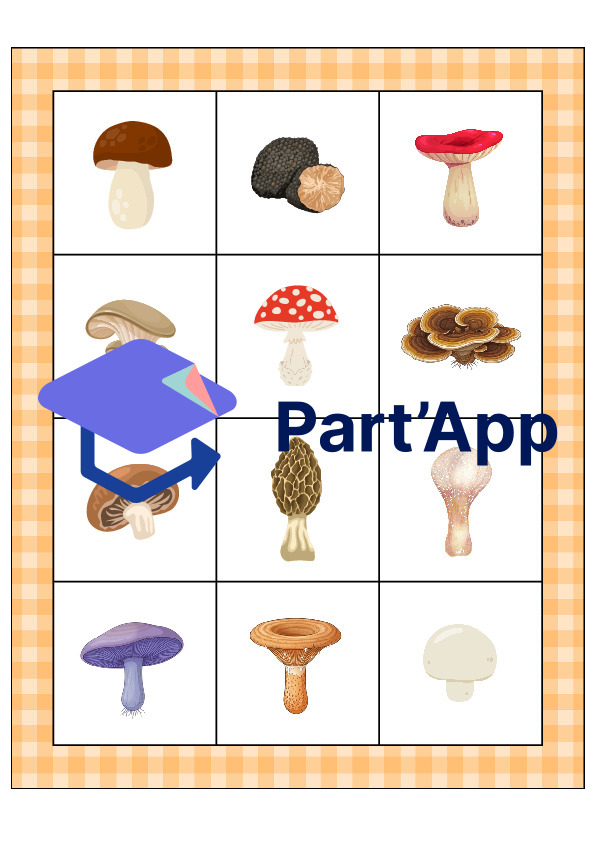 Le bingo des champignons_31