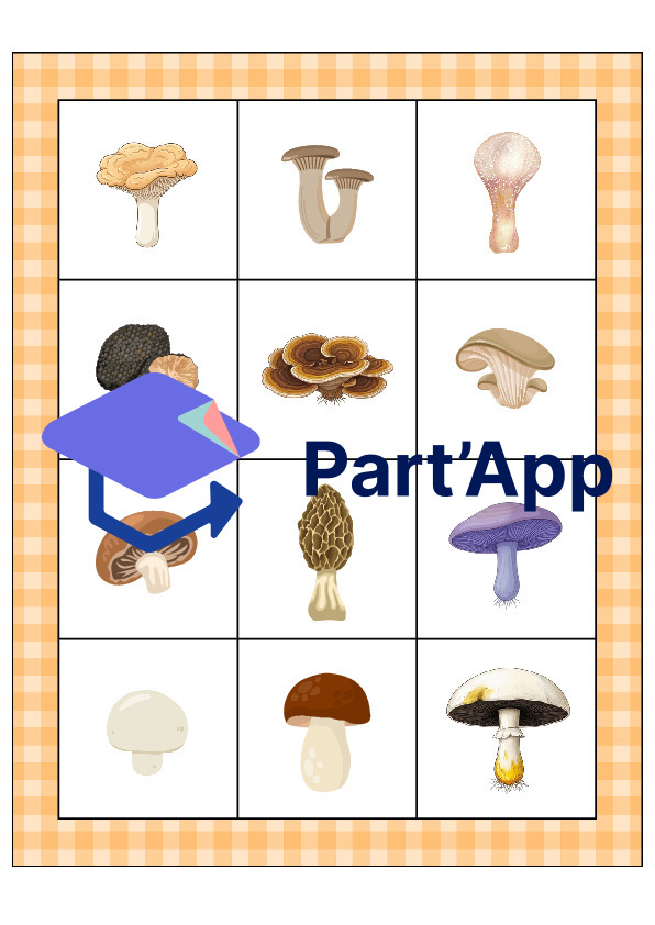 Le bingo des champignons_33