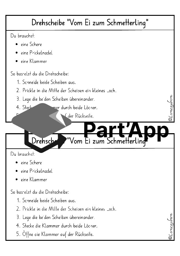 Drehscheibe Schmetterling (Lebenszyklus)_7