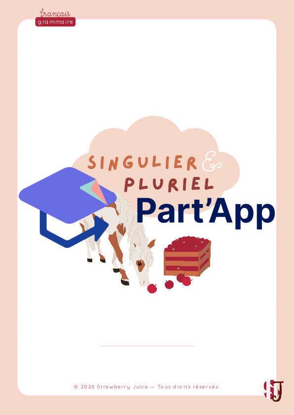 3P - 4P - 5P - français - singulier pluriel_2