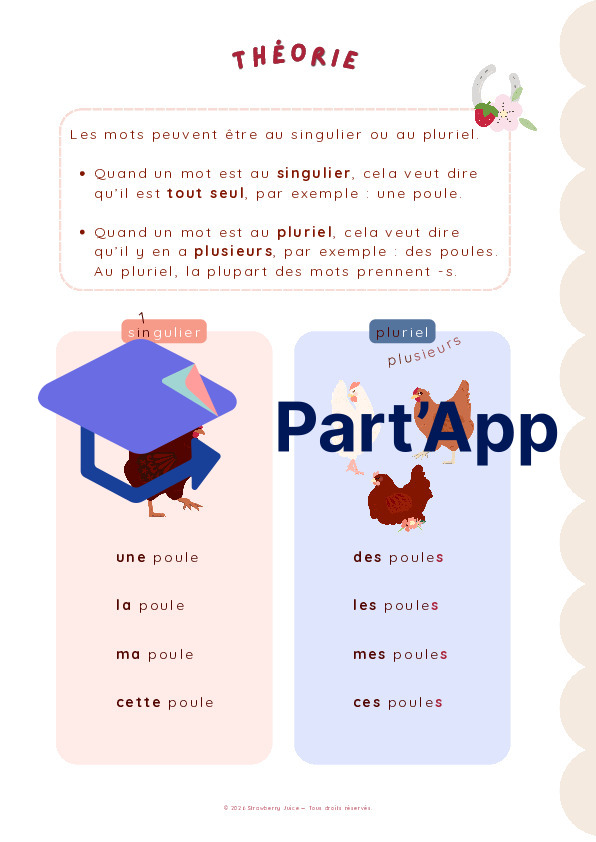 3P - 4P - 5P - français - singulier pluriel_4