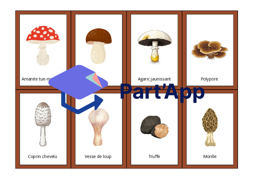 Le memory des champignons_2