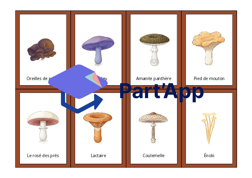 Le memory des champignons_4