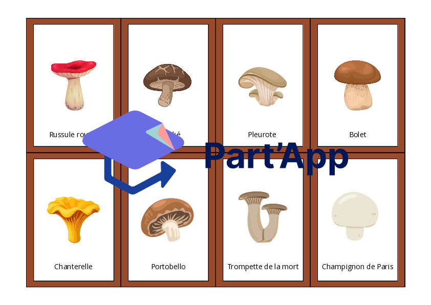 Le memory des champignons_6