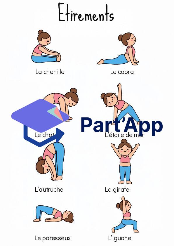 Kit Échauffement EPS & Gym : Affiches, Cartes & Ateliers (1H-8H)_5