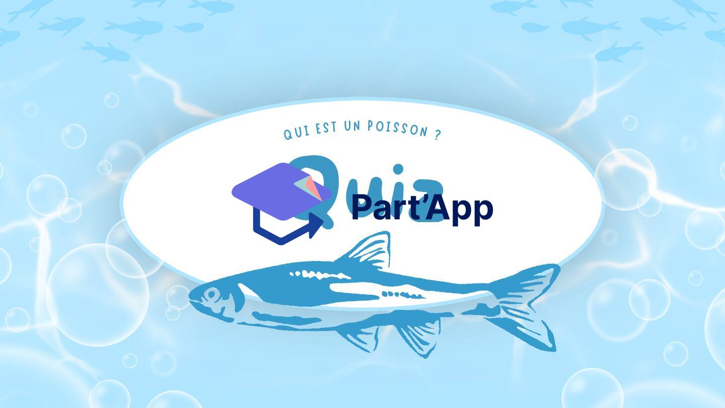 Quiz - Qui est un poisson_3