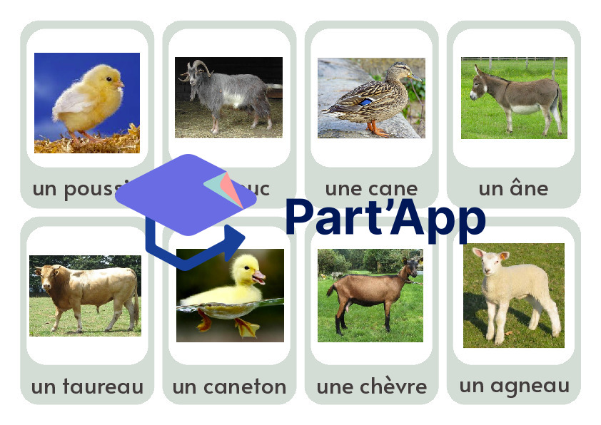 Loto des animaux de la ferme_6