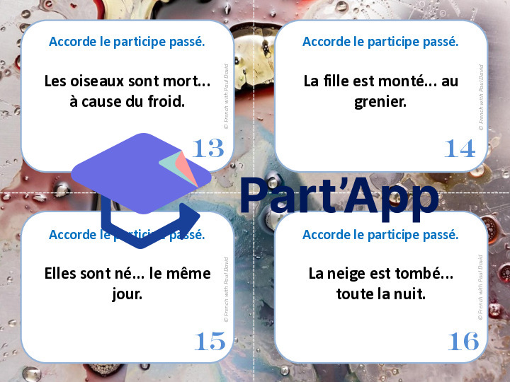 Le participe passé employé avec être - 28 CÀT_5