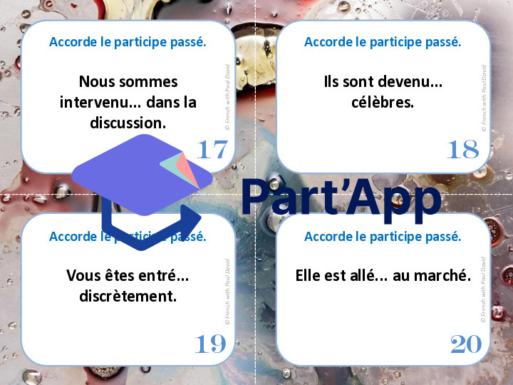 Le participe passé employé avec être - 28 CÀT_6