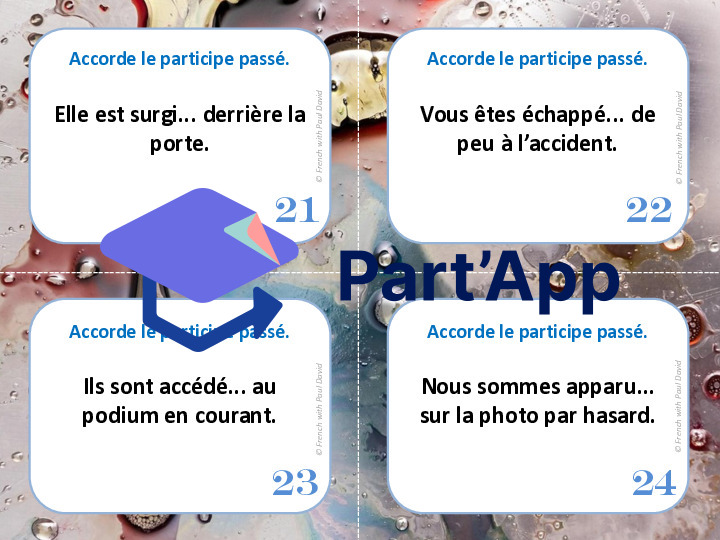 Le participe passé employé avec être - 28 CÀT_7