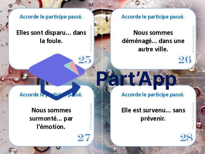 Le participe passé employé avec être - 28 CÀT_8