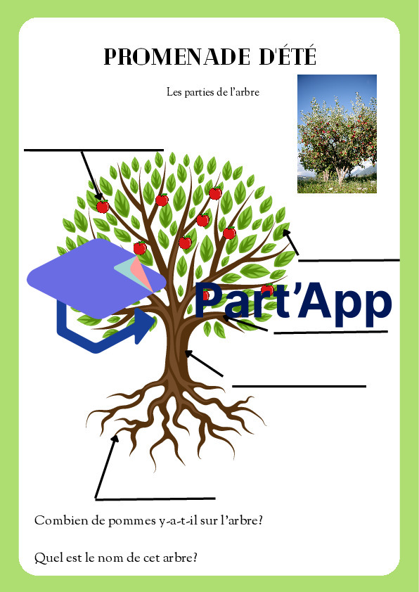 les 4 saisons_8