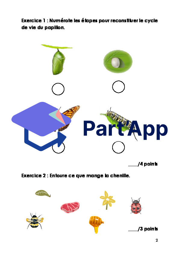 Évaluation papillons - Connaissance de l'environnement_3