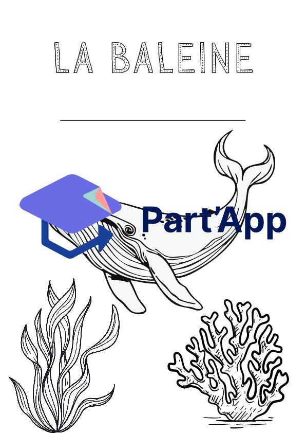 Dossier autonome Baleine 1-2P_2