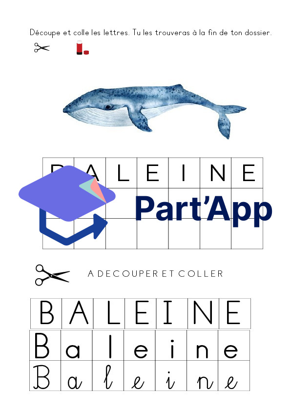 Dossier autonome Baleine 1-2P_4