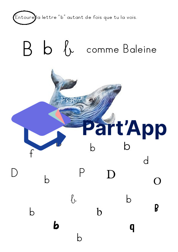 Dossier autonome Baleine 1-2P_5