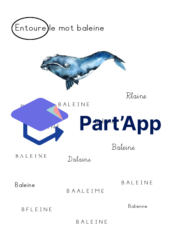 Dossier autonome Baleine 1-2P_6
