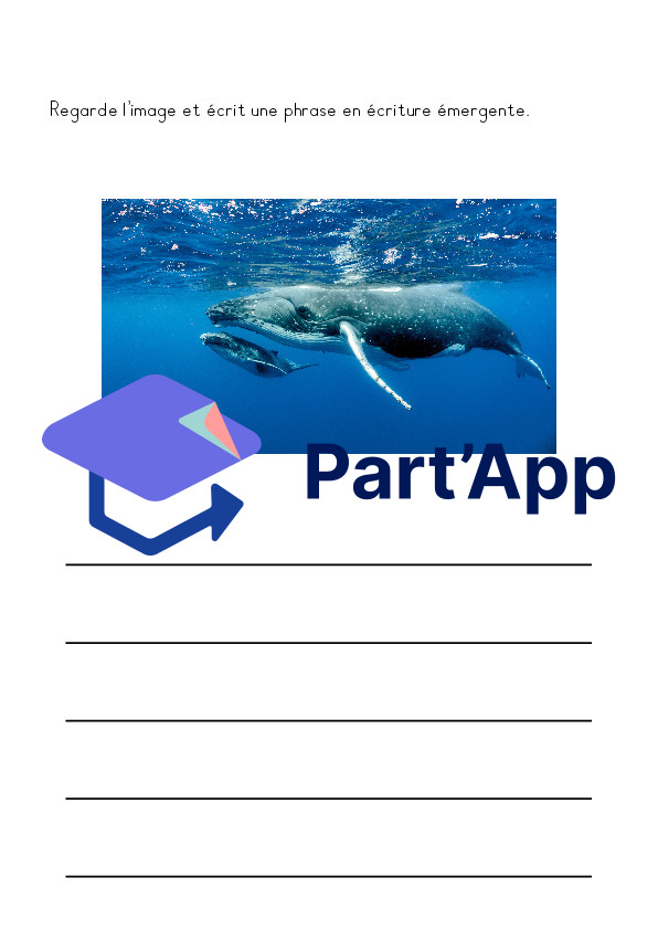 Dossier autonome Baleine 1-2P_10