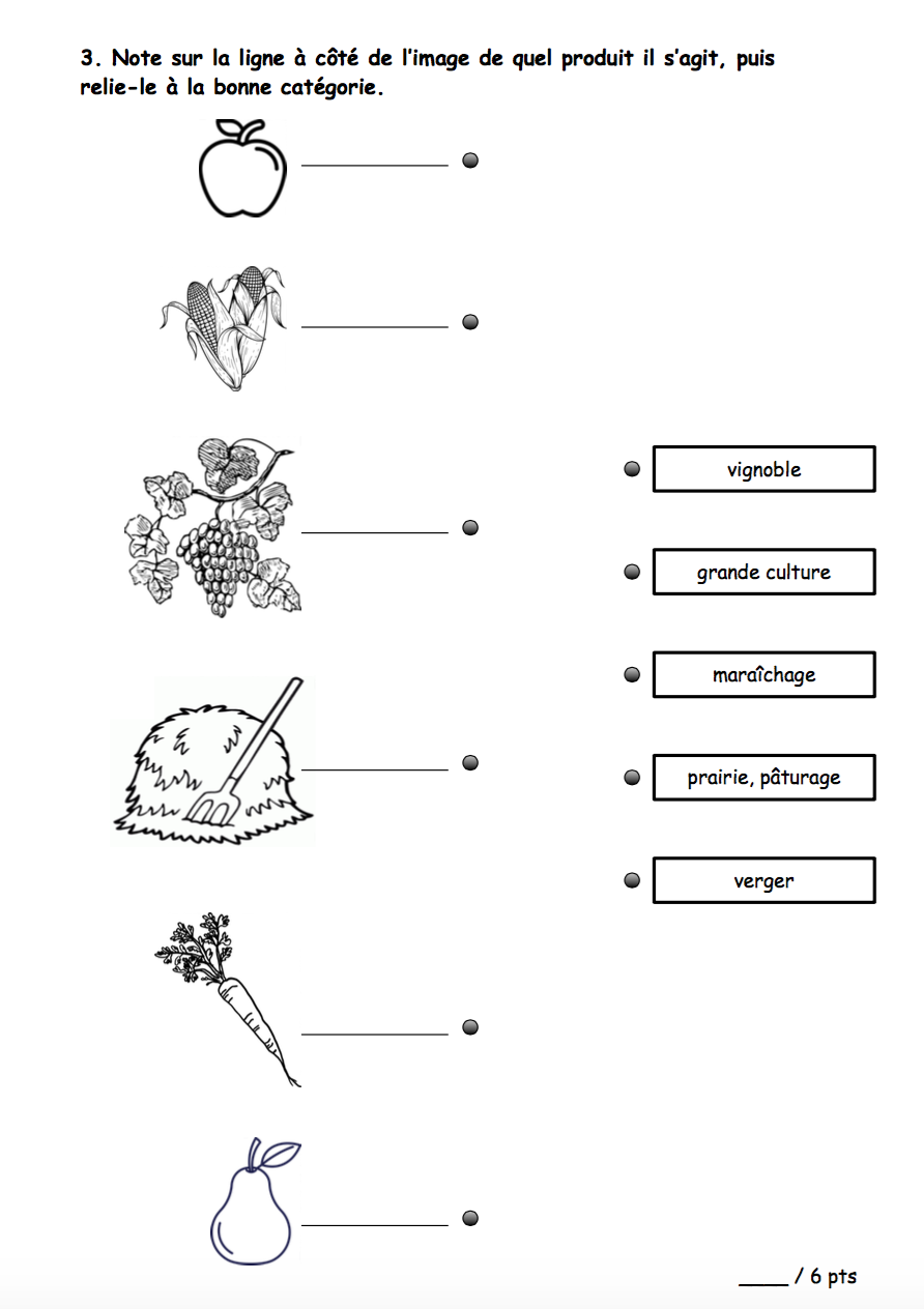 6P - TS de géographie - mon canton, mon espace_3