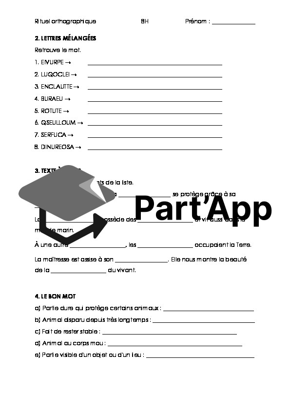 rituel orthographique 8H_9