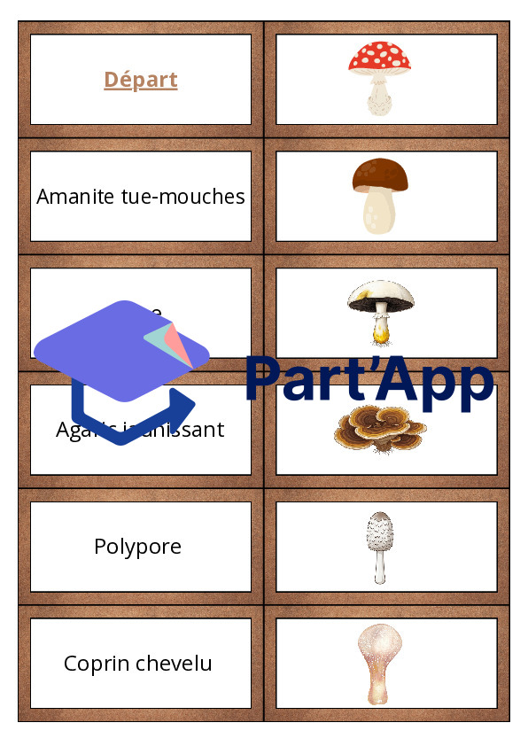 Les dominos des champignons_20