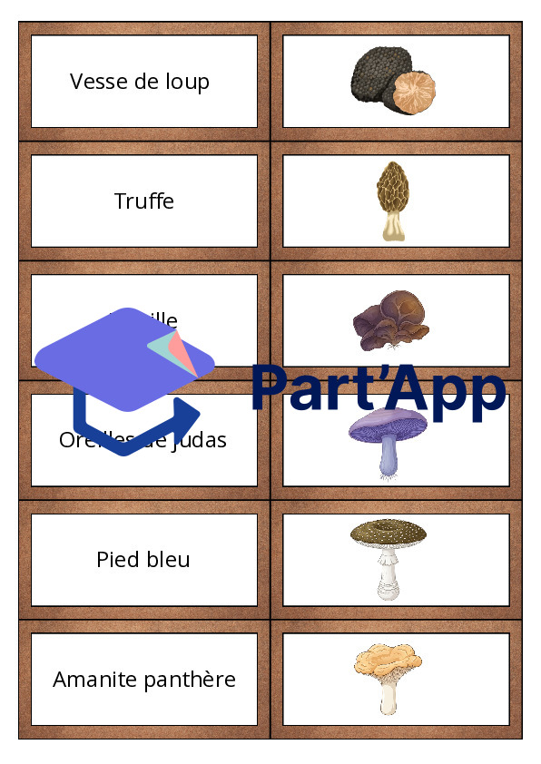 Les dominos des champignons_21