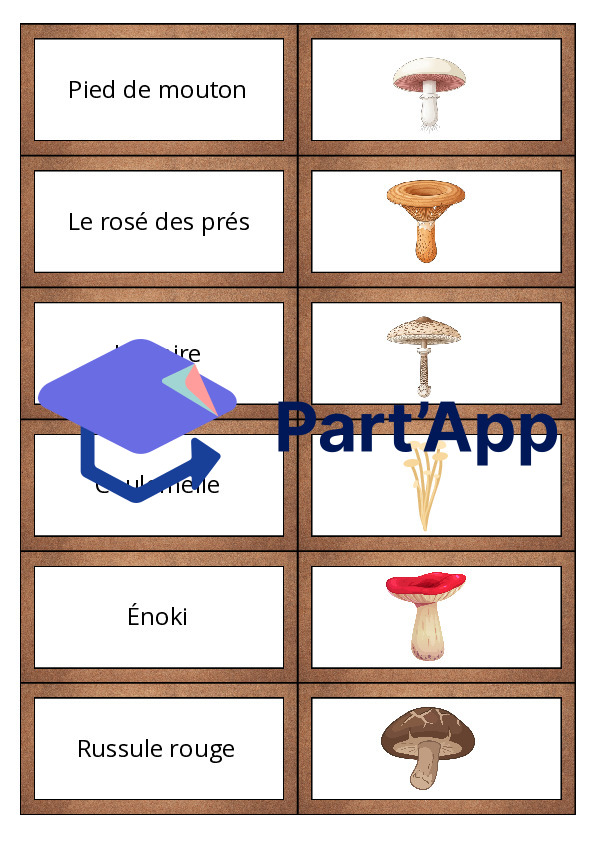 Les dominos des champignons_22