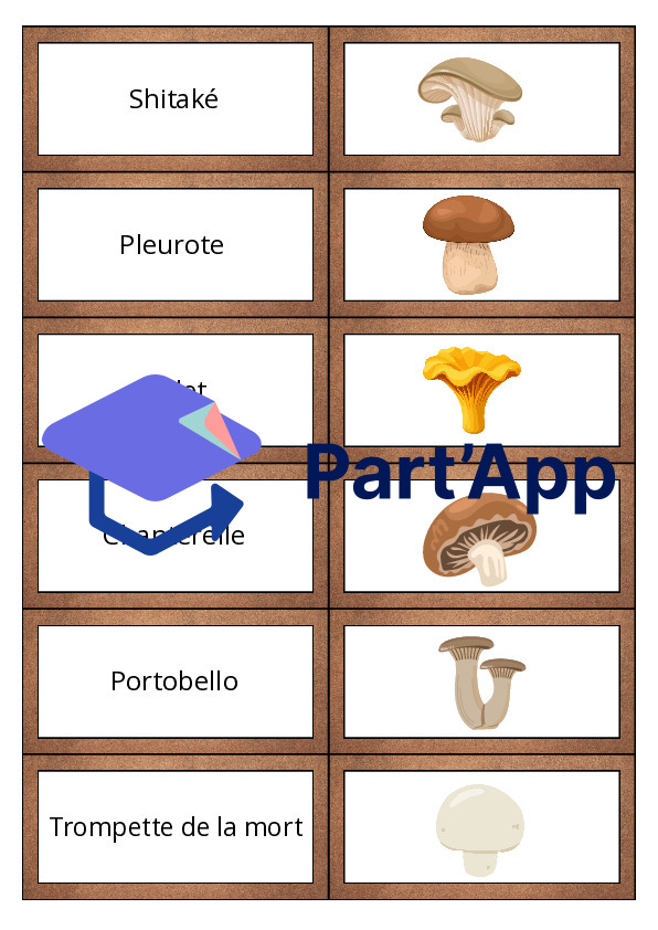 Les dominos des champignons_23