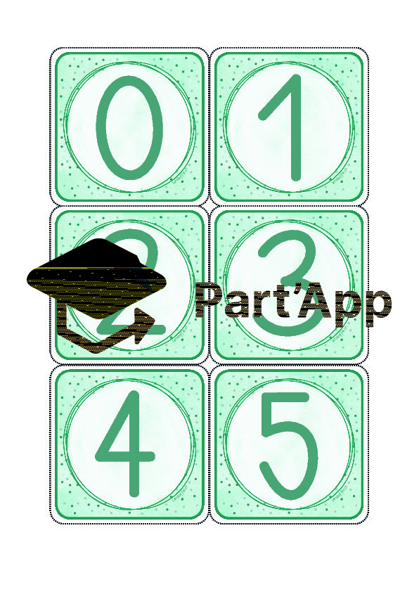 Cartes numériques et cartes de quantité_2