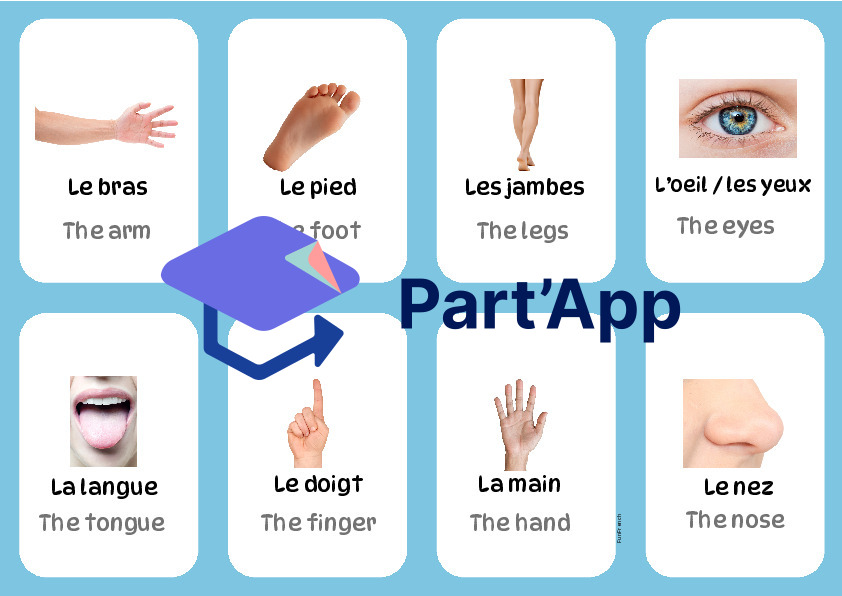 Pack jeux - le corps humain allophone_7