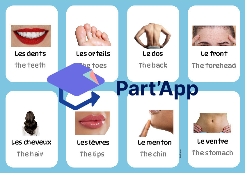 Pack jeux - le corps humain allophone_8
