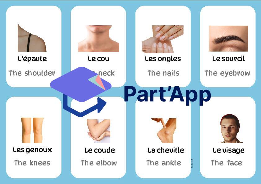 Pack jeux - le corps humain allophone_9
