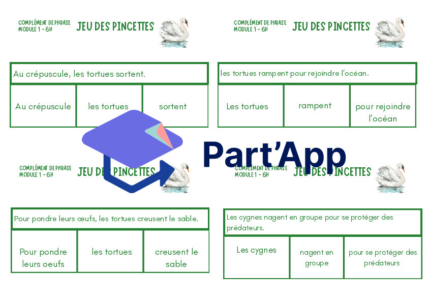 Complément de phrase : jeu des pincettes_4