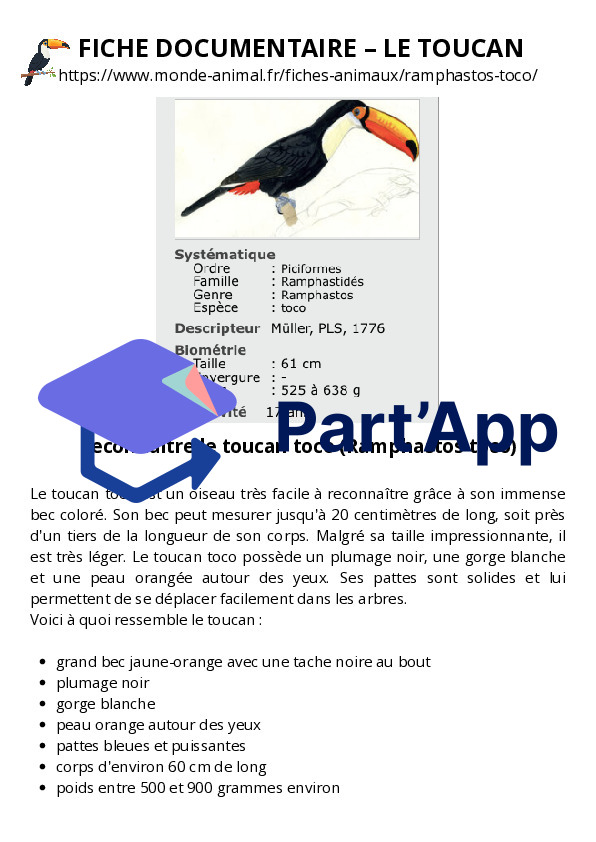 Dossier documentaire sur le toucan_2