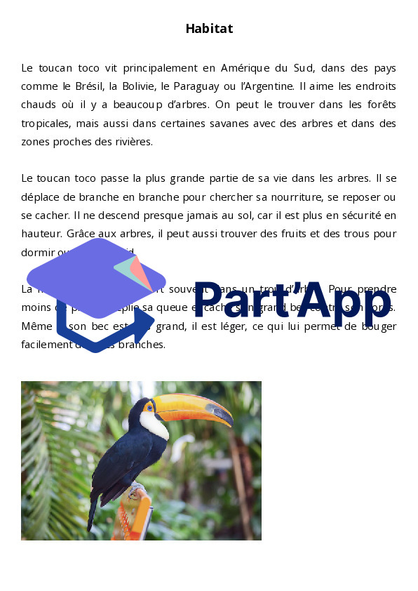 Dossier documentaire sur le toucan_3