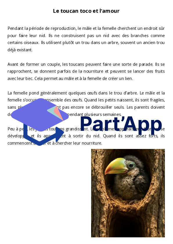 Dossier documentaire sur le toucan_5