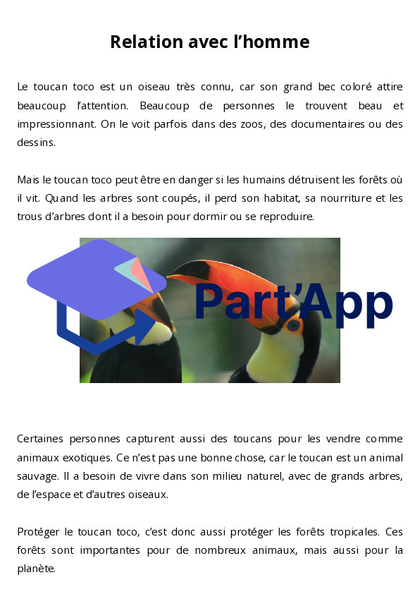 Dossier documentaire sur le toucan_6