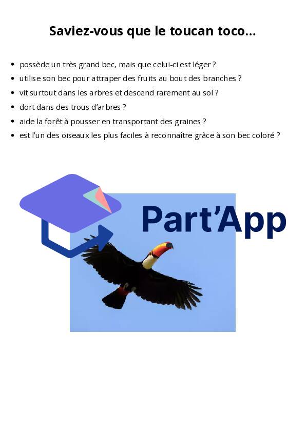 Dossier documentaire sur le toucan_7